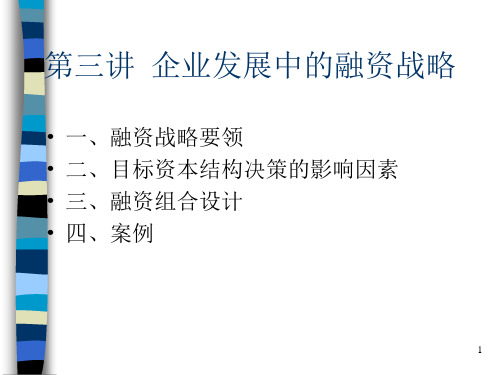 3、企业发展中的融资战略(PPT 30页)