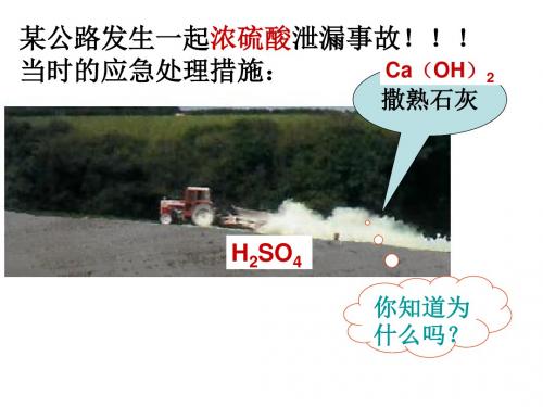 酸和碱之间会发生什么反应 PPT教学课件4 人教版