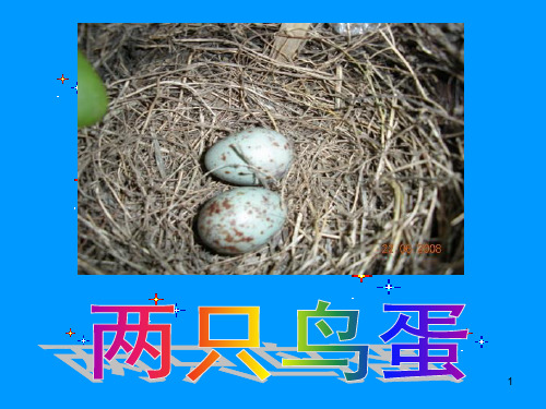 两只鸟蛋1公开课PPT