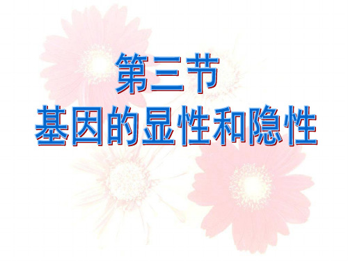 人教版八年级下册第二章第三节 基因的显性和隐性课件(25张ppt)
