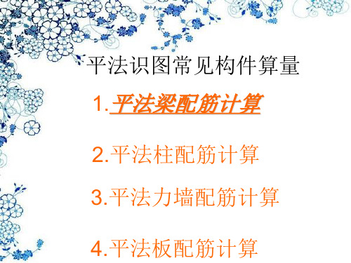 平法梁识图3