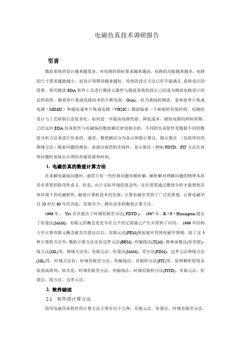 电磁仿真技术报告