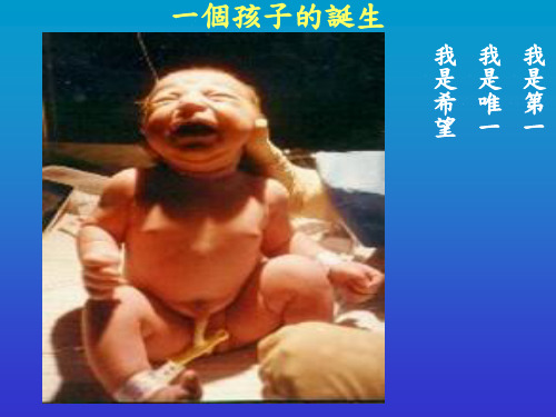 一个孩子的诞生.ppt