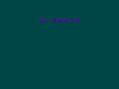26、剪枝的学问