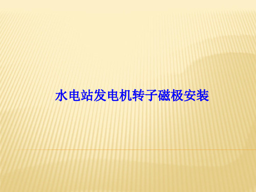 水电站发电机转子磁极安装