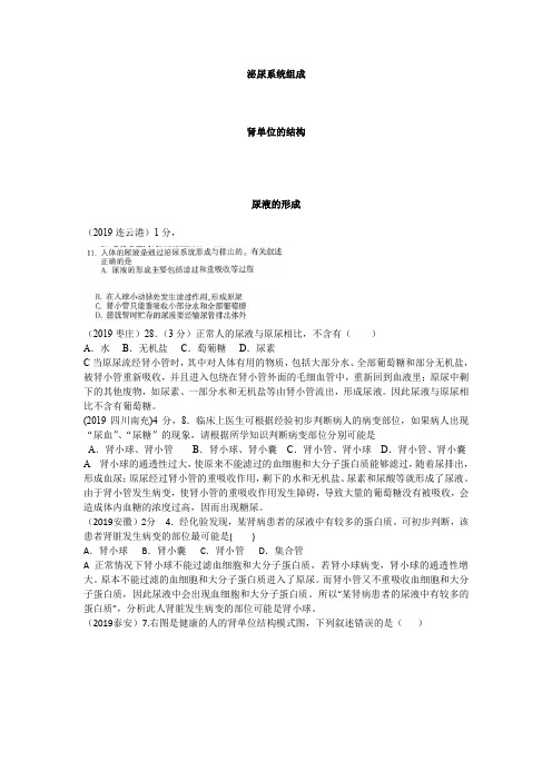 2019年全国中考真题分类_人体内废物的排出
