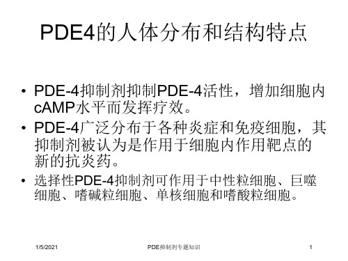 PDE抑制剂专题知识