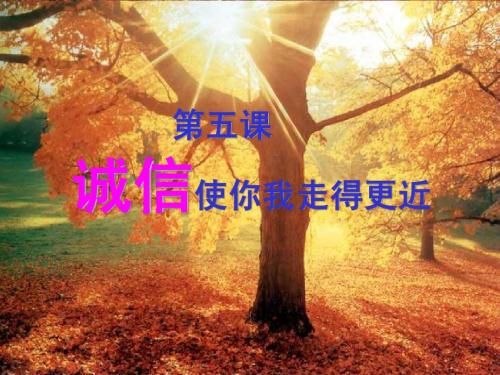 初三思品诚信无价课件