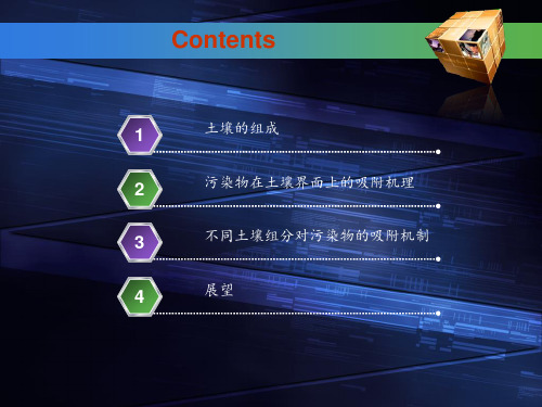 有机污染物在土壤界面上的吸附行为