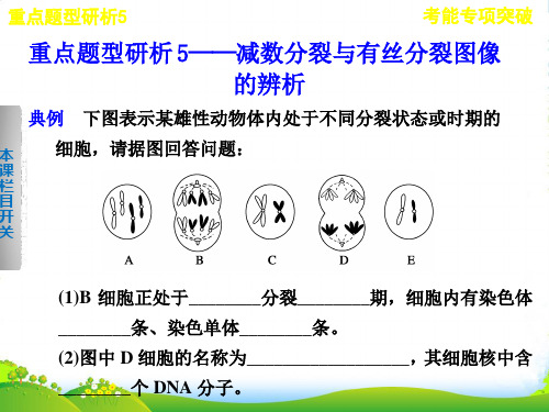 【步步高】高考生物一轮复习 第五单元考能专项突破课件