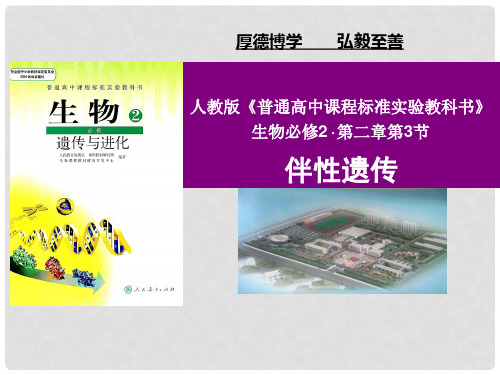 高中生物 2.3 伴性遗传说课课件 新人教版必修2