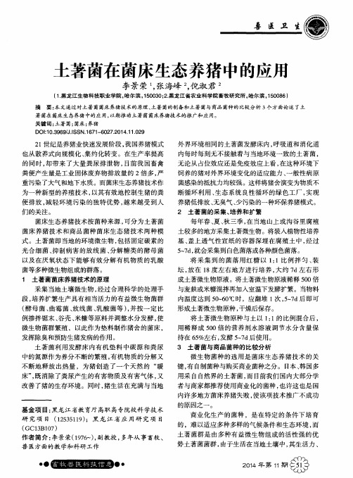 土著菌在菌床生态养猪中的应用