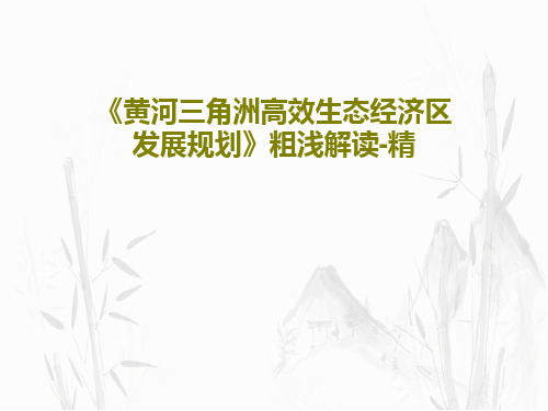 《黄河三角洲高效生态经济区发展规划》粗浅解读-精PPT文档共49页