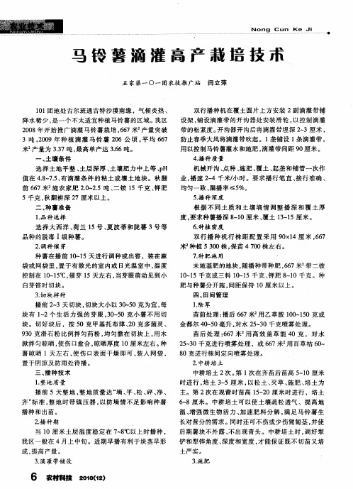 马铃薯滴灌高产栽培技术