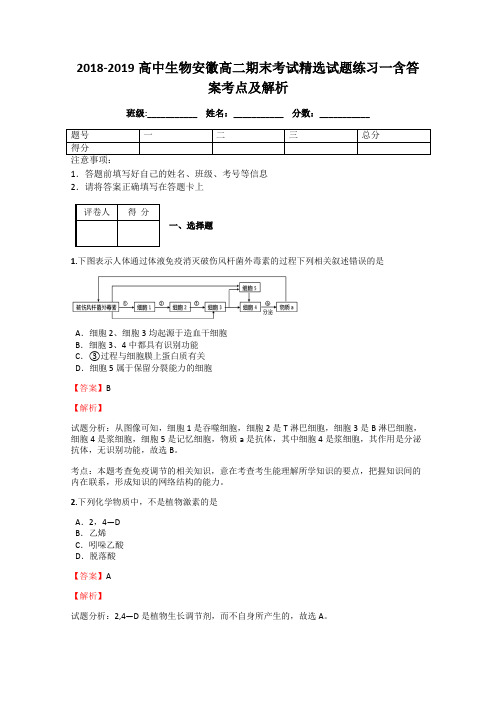 2018-2019高中生物安徽高二期末考试精选试题练习一含答案考点及解析