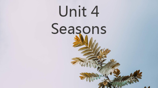 七年级上册牛津深圳版Unit4  Seasons-课件