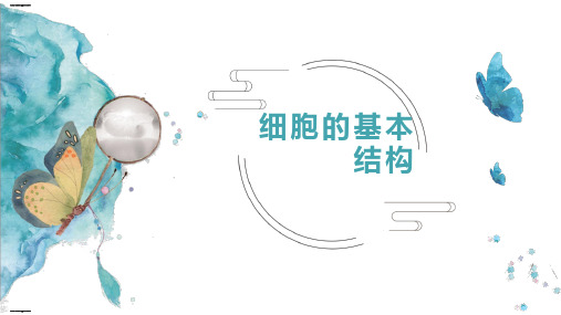 《细胞的基本结构》教学课件1