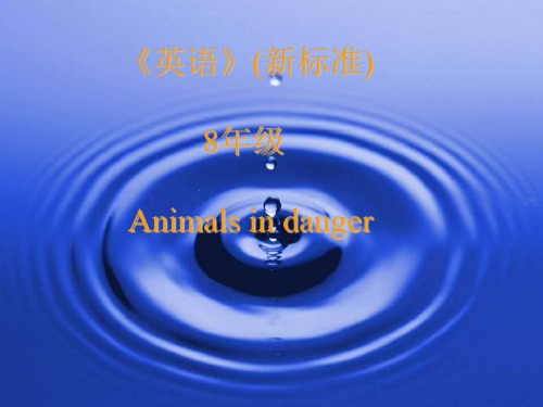 Animals-in-danger课件