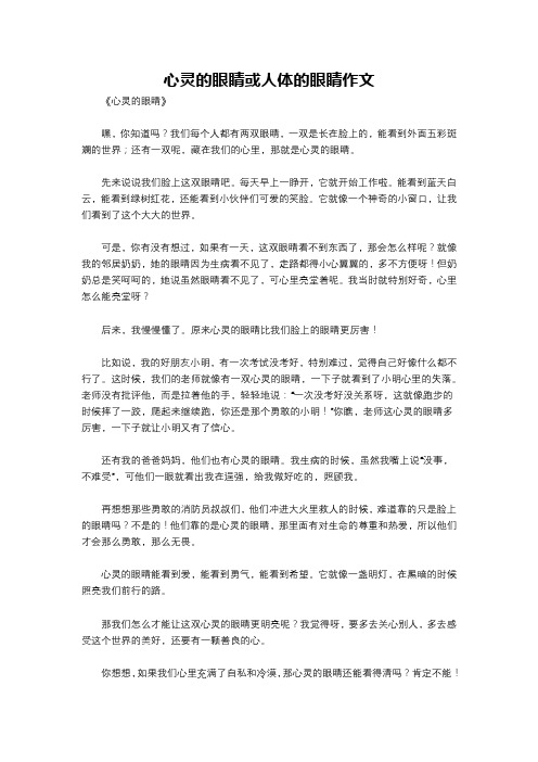 心灵的眼睛或人体的眼睛作文