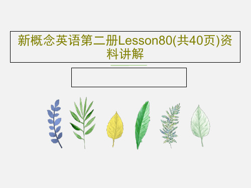 新概念英语第二册Lesson80(共40页)资料讲解共66页
