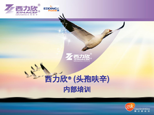 西力欣培训