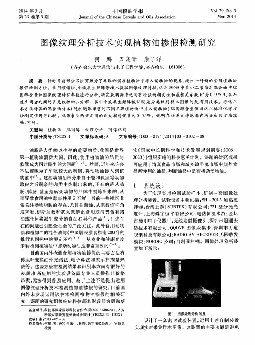 图像纹理分析技术实现植物油掺假检测研究