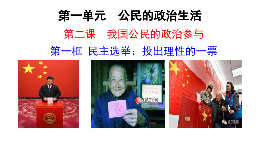 2.1   民主选举：投出理性一票