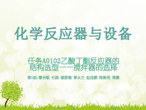 第1组--搅拌器选择分析解析