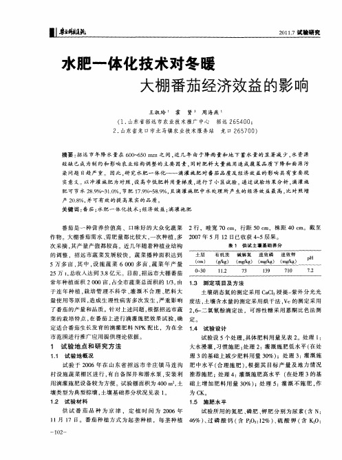水肥一体化技术对冬暖大棚番茄经济效益的影响