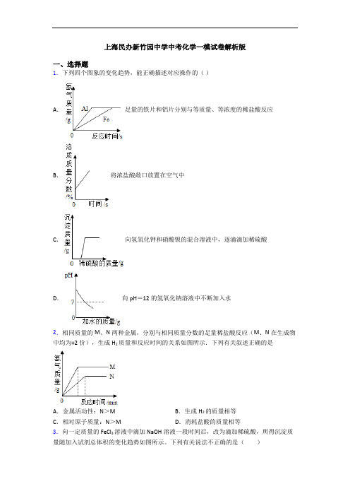 上海民办新竹园中学中考化学一模试卷解析版
