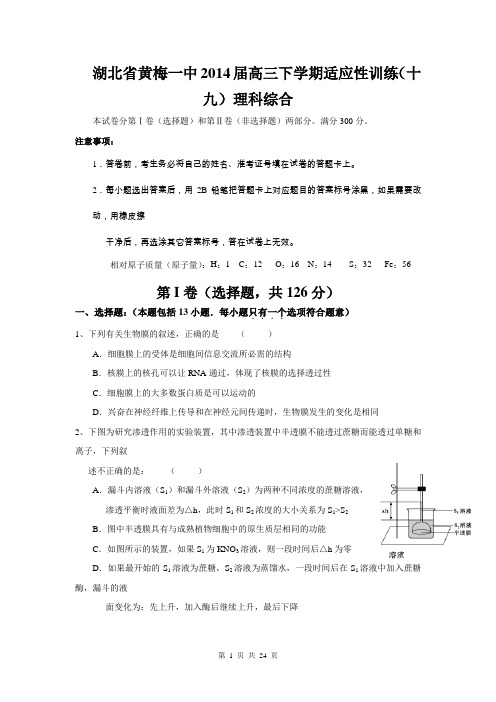 湖北省黄梅一中2014届高三下学期适应性训练(十九)理科综合