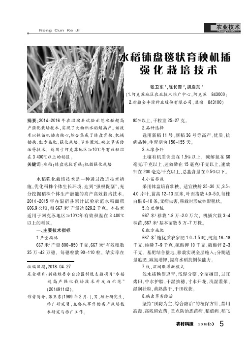 水稻钵盘毯状育秧机插强化栽培技术