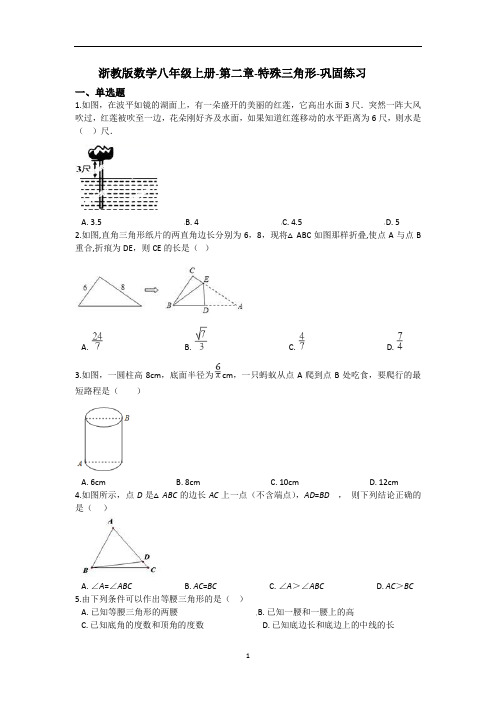 浙教版数学八年级上册-第二章-特殊三角形-巩固练习(解析版)