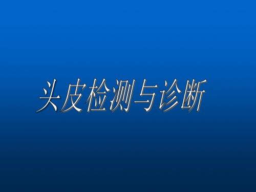 头皮检测与诊断ppt课件