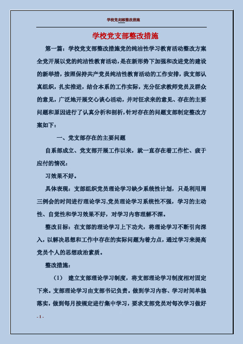 学校党支部整改措施
