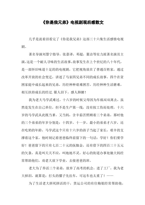 《你是我兄弟》电视剧观后感散文
