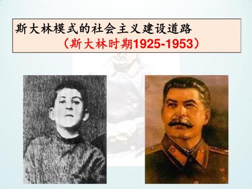 斯大林模式的社会主义建设道路_课件