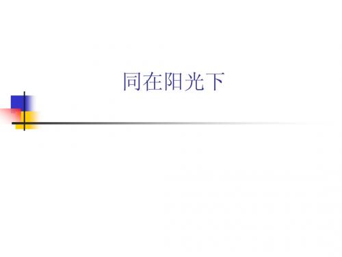 同在阳光下