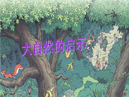 12 大自然的启示精简完整ppt课件