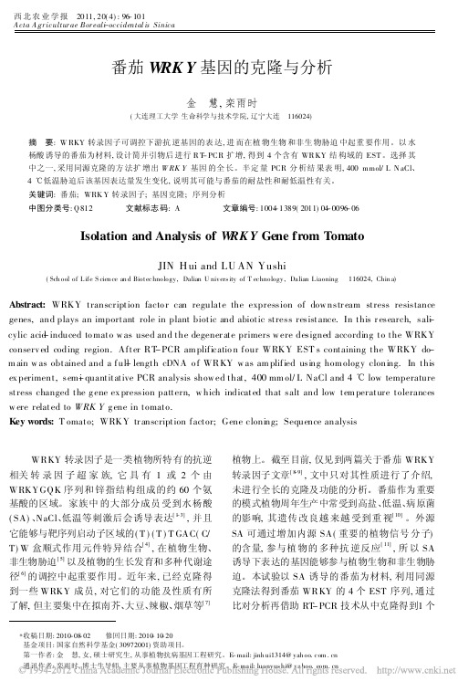 番茄WRKY基因的克隆与分析_金慧
