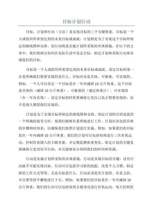 目标计划行动