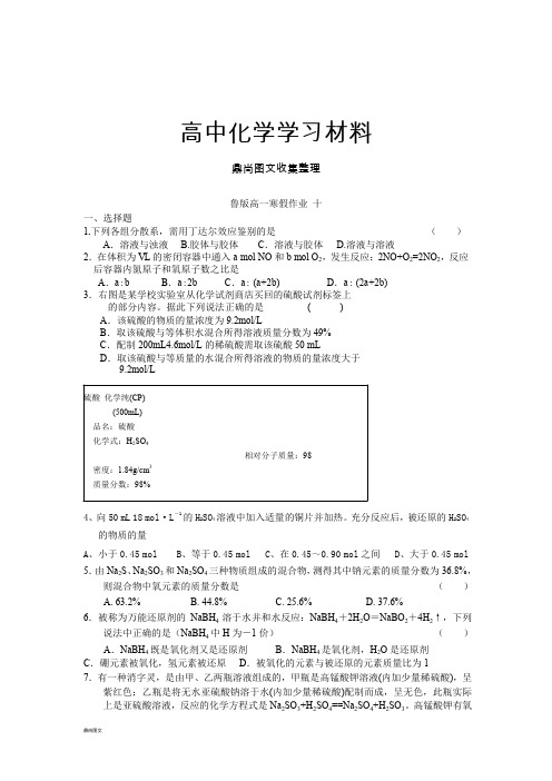 鲁科版高中化学必修一高一化学寒假作业10.docx