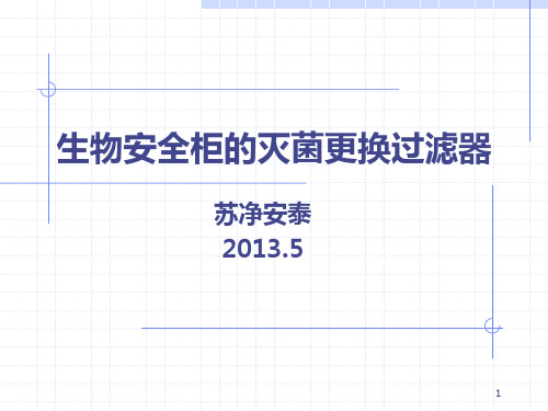 苏净安泰生物安全柜的灭菌