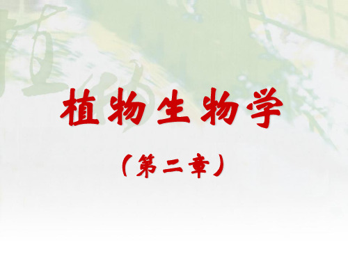 植物生物学(2.0植物的类群及其生活史特点)