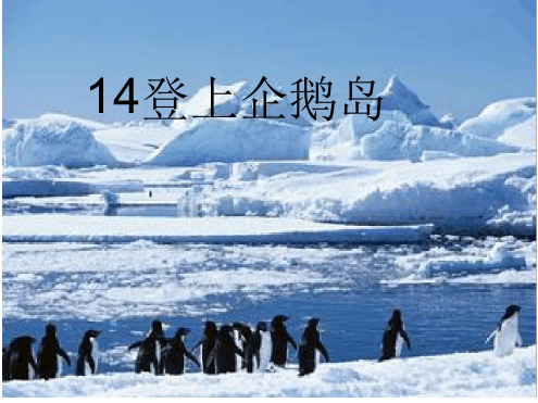 登上企鹅岛课件