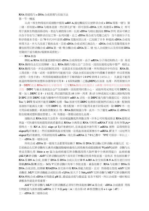 RNA的提取和cDNA合成原理和实验方法