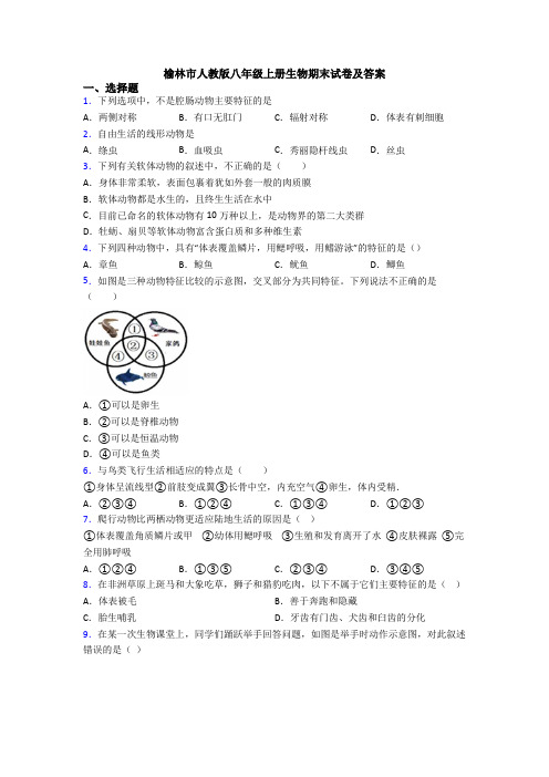 榆林市人教版八年级上册生物期末试卷及答案
