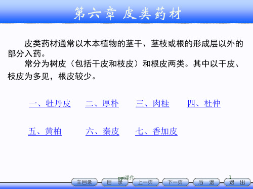 皮类药材  ppt课件
