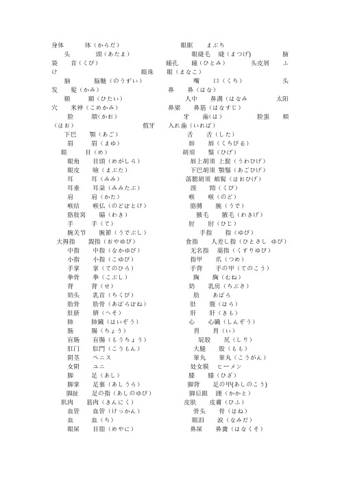 人体名称