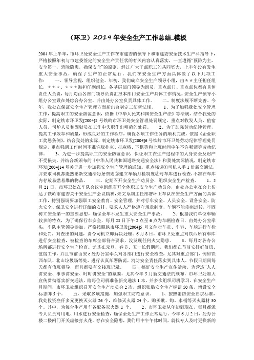 (环卫)2019年安全生产工作总结_模板